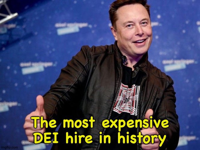 He absolutely had no clue | The most expensive DEI hire in history | image tagged in elon musk nice | made w/ Imgflip meme maker
