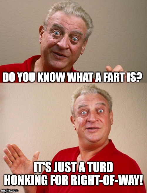 Classic Rodney | DO YOU KNOW WHAT A FART IS? IT'S JUST A TURD HONKING FOR RIGHT-OF-WAY! | image tagged in classic rodney | made w/ Imgflip meme maker