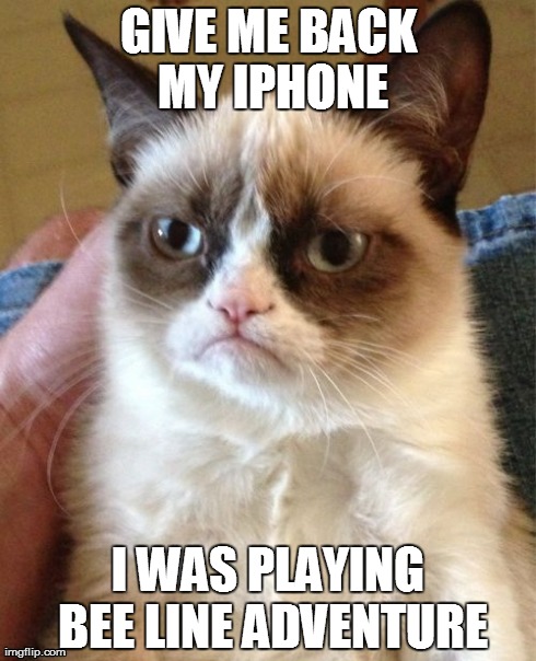 Grumpy Cat Meme | GIVE ME BACK MY IPHONE I WAS PLAYING BEE LINE ADVENTURE | image tagged in memes,grumpy cat | made w/ Imgflip meme maker