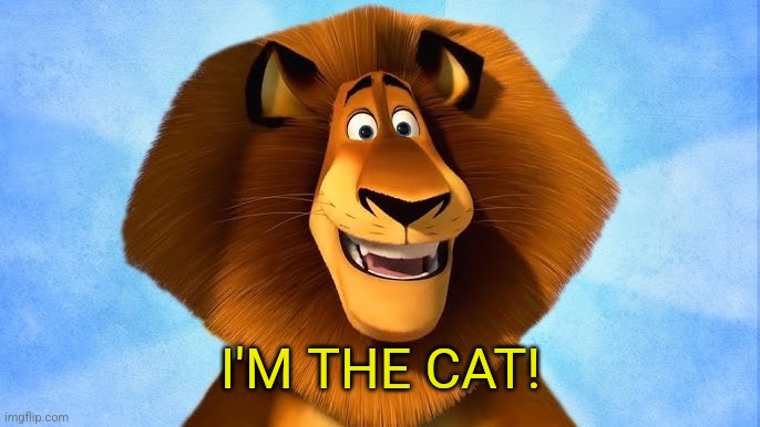 I'M THE CAT! | made w/ Imgflip meme maker