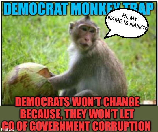 Pelosi and the Democrats can’t change | HI, MY NAME IS NANCY | image tagged in gifs,memes,democrats,government corruption,pelosi | made w/ Imgflip meme maker