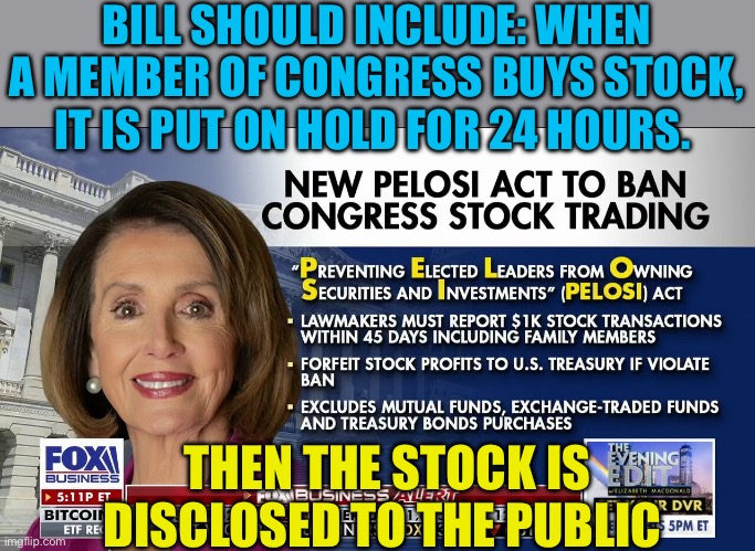 Sunlight is the best disinfectant | BILL SHOULD INCLUDE: WHEN A MEMBER OF CONGRESS BUYS STOCK, IT IS PUT ON HOLD FOR 24 HOURS. THEN THE STOCK IS DISCLOSED TO THE PUBLIC | image tagged in gifs,democrats,pelosi,government corruption | made w/ Imgflip meme maker
