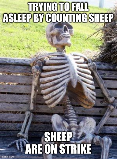 Noooo! | TRYING TO FALL ASLEEP BY COUNTING SHEEP; SHEEP ARE ON STRIKE | image tagged in memes,waiting skeleton | made w/ Imgflip meme maker