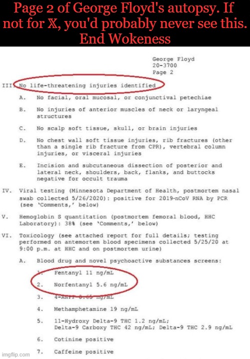 You can't handle the truth | Page 2 of George Floyd's autopsy. If 
not for 𝕏, you'd probably never see this.

End Wokeness | image tagged in facts,george floyd,censorship,agenda,autopsy | made w/ Imgflip meme maker