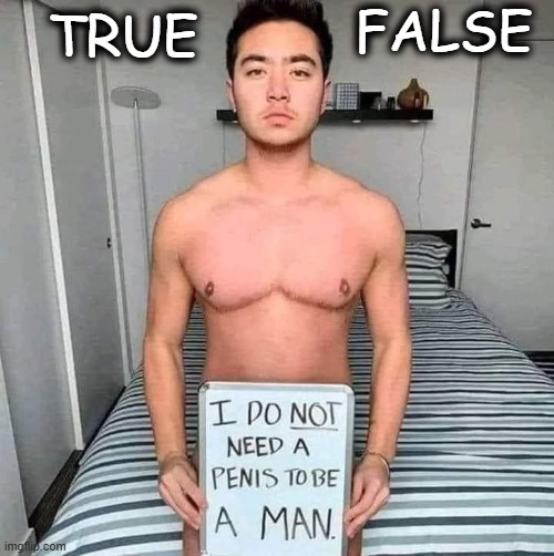 ? | FALSE; TRUE | image tagged in gender,gender identity,identity,reality,now reality can be whatever i want,gender confusion | made w/ Imgflip meme maker