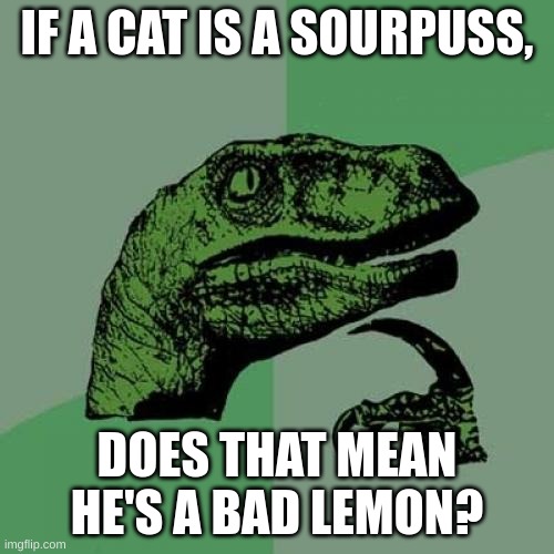 meow? | IF A CAT IS A SOURPUSS, DOES THAT MEAN HE'S A BAD LEMON? | image tagged in memes,philosoraptor | made w/ Imgflip meme maker