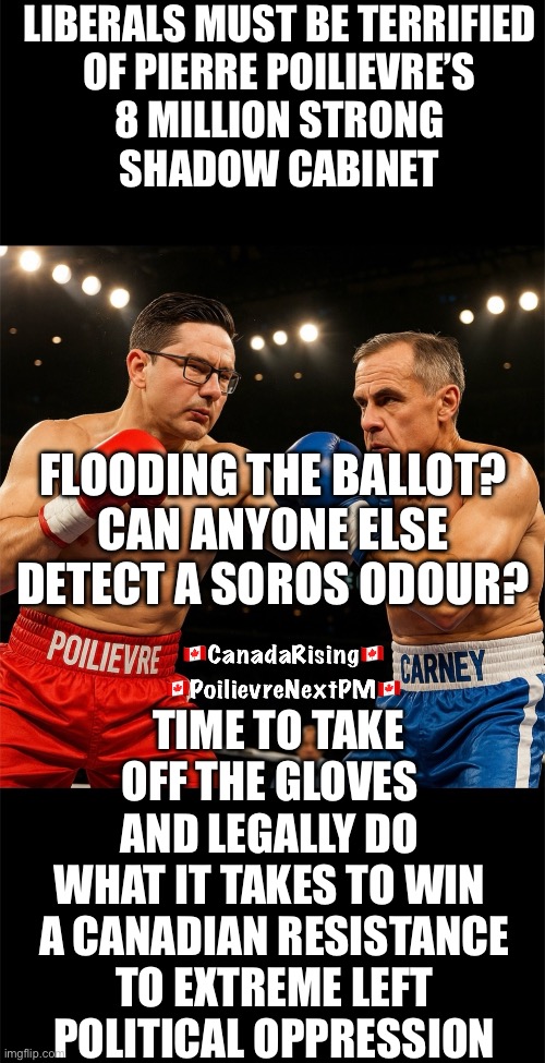 CanadaRising | LIBERALS MUST BE TERRIFIED
OF PIERRE POILIEVRE’S
8 MILLION STRONG
SHADOW CABINET; FLOODING THE BALLOT?
CAN ANYONE ELSE
DETECT A SOROS ODOUR? TIME TO TAKE OFF THE GLOVES 
AND LEGALLY DO 
WHAT IT TAKES TO WIN 
A CANADIAN RESISTANCE
TO EXTREME LEFT
POLITICAL OPPRESSION | image tagged in canadian politics | made w/ Imgflip meme maker