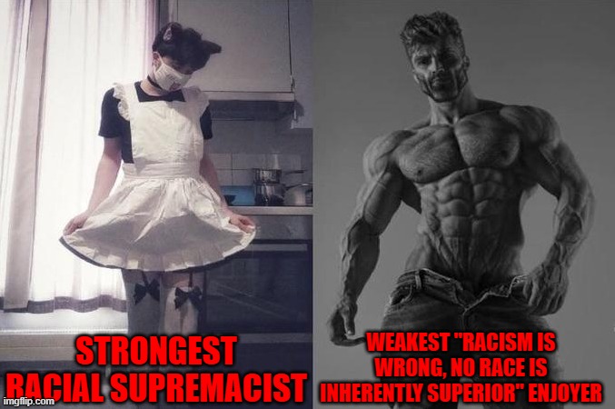 shut up about the balkans or southeast asians being chads | STRONGEST RACIAL SUPREMACIST; WEAKEST "RACISM IS WRONG, NO RACE IS INHERENTLY SUPERIOR" ENJOYER | image tagged in strongest fan vs weakest fan,racism,discrimination,racist | made w/ Imgflip meme maker