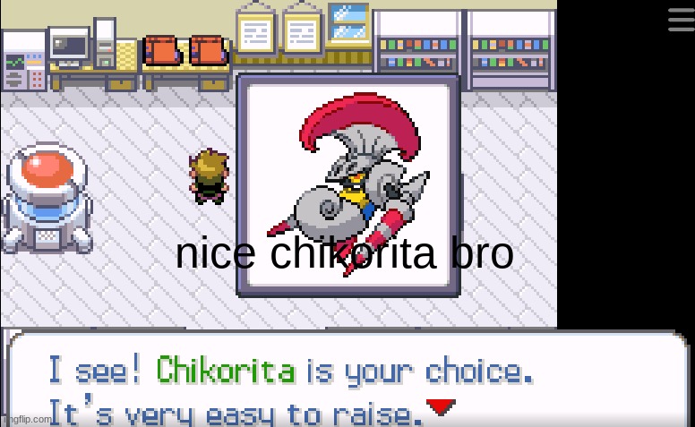 nice chikorita bro | made w/ Imgflip meme maker