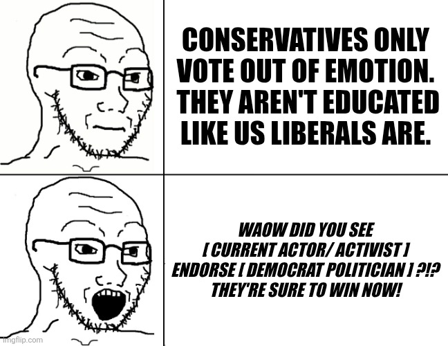 WAOW! | CONSERVATIVES ONLY VOTE OUT OF EMOTION.  THEY AREN'T EDUCATED LIKE US LIBERALS ARE. WAOW DID YOU SEE
[ CURRENT ACTOR/ ACTIVIST ]
ENDORSE [ DEMOCRAT POLITICIAN ] ?!?
THEY'RE SURE TO WIN NOW! | image tagged in soyjak reaction | made w/ Imgflip meme maker