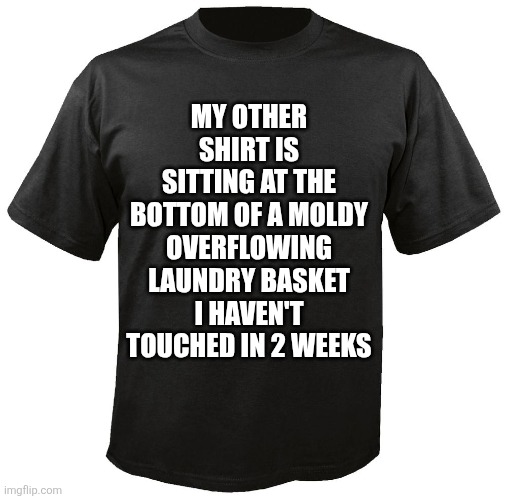 People's obsession to post everything they think, do, or believe for public entertainment should lead to this soon! | MY OTHER SHIRT IS SITTING AT THE BOTTOM OF A MOLDY OVERFLOWING LAUNDRY BASKET I HAVEN'T TOUCHED IN 2 WEEKS | image tagged in blank t-shirt,social media,posting,modern problems require modern solutions,no one cares,get a life | made w/ Imgflip meme maker