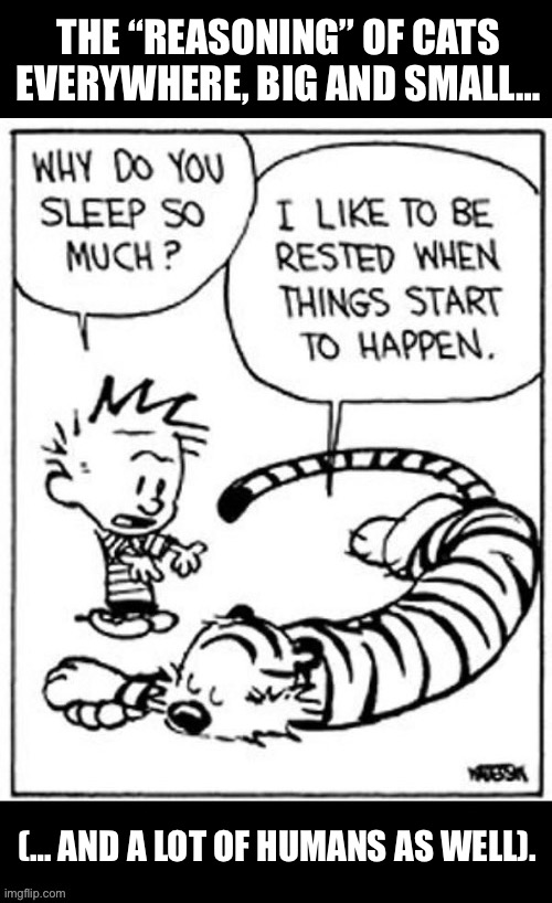 It’s sound reasoning… (the sound of snoring, that is)… | THE “REASONING” OF CATS EVERYWHERE, BIG AND SMALL…; (… AND A LOT OF HUMANS AS WELL). | image tagged in calvin and hobbes,sleep | made w/ Imgflip meme maker
