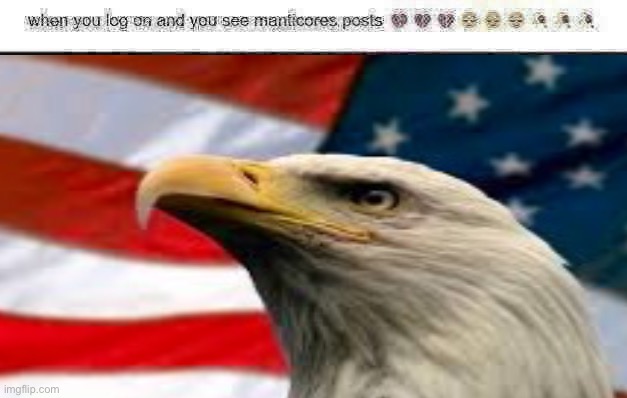 We love Freedom idk about the rest of y’all | image tagged in when you see manticore,freedom | made w/ Imgflip meme maker