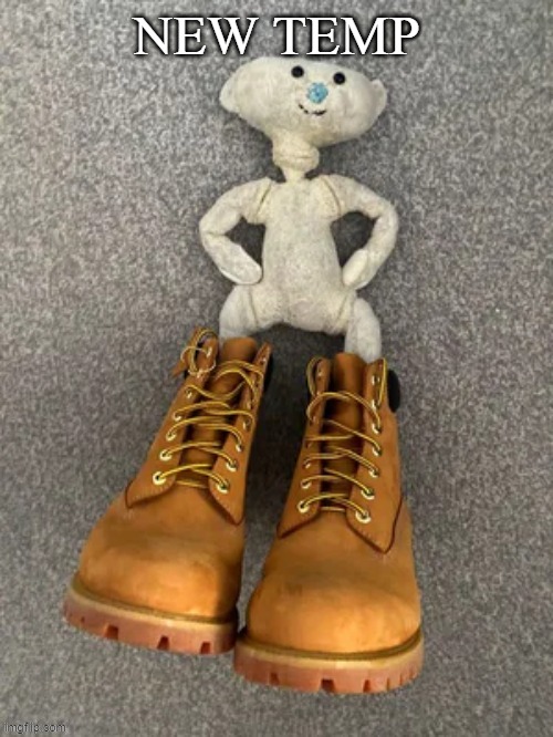 Bear with da timbs | NEW TEMP | image tagged in bear with da timbs | made w/ Imgflip meme maker