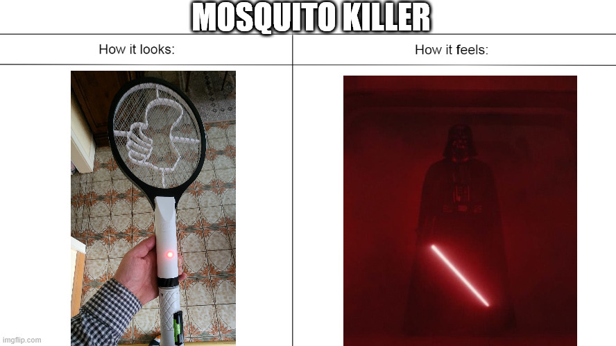 Mosquito killer | MOSQUITO KILLER | image tagged in how it looks vs how it feels | made w/ Imgflip meme maker