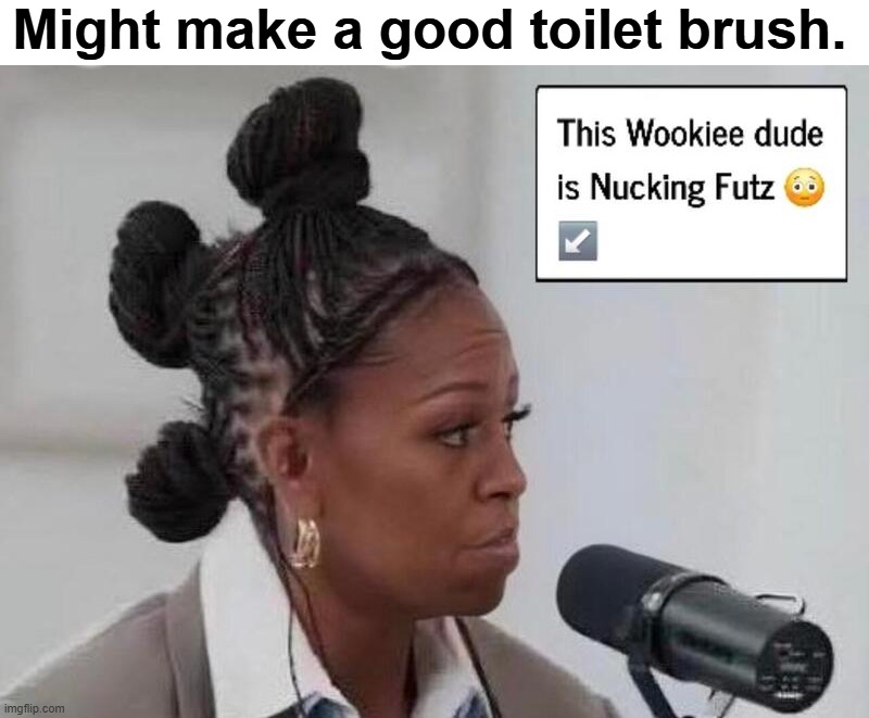 Dindunuffin Might make a good toilet brush. | Might make a good toilet brush. | image tagged in toilet brush,wookie riding a squirrel killing nazis your argument is invalid,wookies,dindu nuffin,michelle obama | made w/ Imgflip meme maker