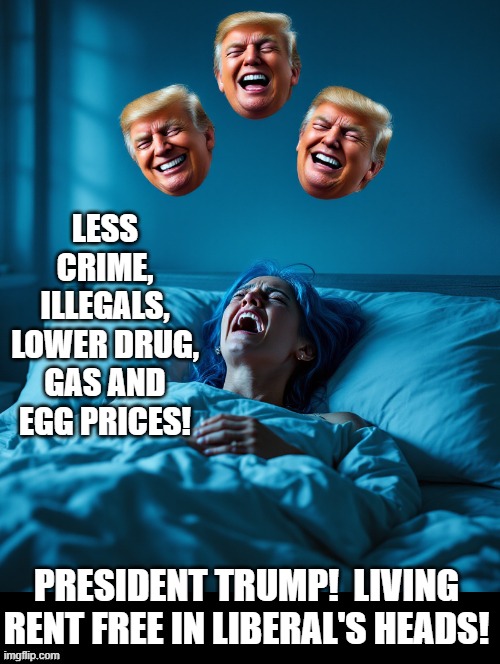 President Trump living rent free in liberal blue haired women nightmares! | LESS CRIME, ILLEGALS, LOWER DRUG, GAS AND EGG PRICES! PRESIDENT TRUMP!  LIVING RENT FREE IN LIBERAL'S HEADS! | image tagged in nightmare | made w/ Imgflip meme maker