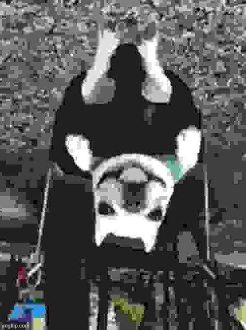 IN THE I BEAT  SHOWER DINGALING MY | image tagged in i beat my dick in the shower | made w/ Imgflip meme maker
