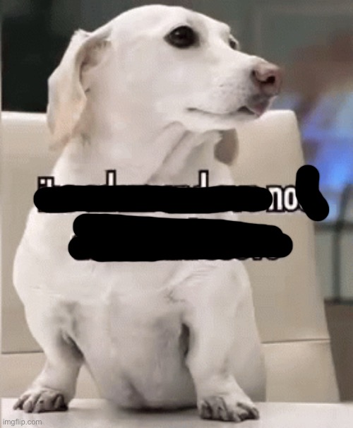 Homophobic dog | image tagged in homophobic dog | made w/ Imgflip meme maker