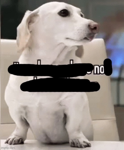 Homophobic dog | image tagged in homophobic dog | made w/ Imgflip meme maker
