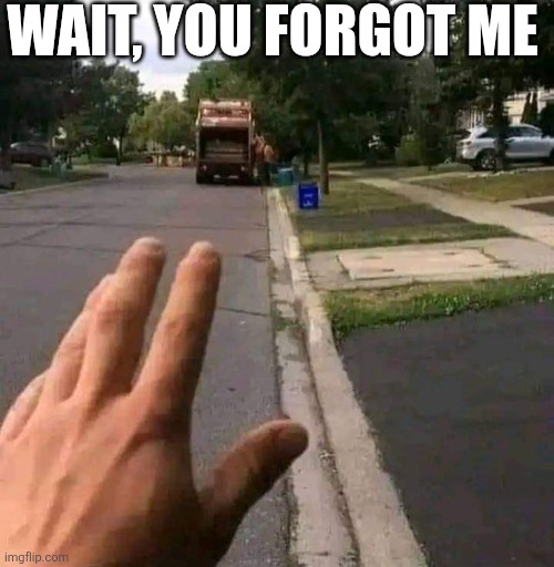 Wait You Forgot Me | WAIT, YOU FORGOT ME | image tagged in chrisjoines1 | made w/ Imgflip meme maker