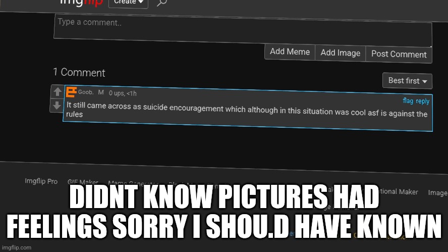 This is bullcrap | DIDNT KNOW PICTURES HAD FEELINGS SORRY I SHOU.D HAVE KNOWN | made w/ Imgflip meme maker