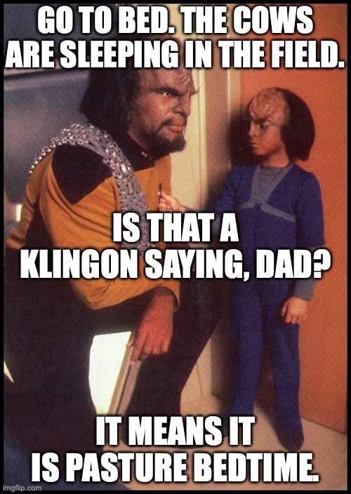 Worf Tells Alexander To Go To Bed | GO TO BED. THE COWS ARE SLEEPING IN THE FIELD. IS THAT A KLINGON SAYING, DAD? IT MEANS IT IS PASTURE BEDTIME. | image tagged in worf alexander star trek the next generation tng | made w/ Imgflip meme maker