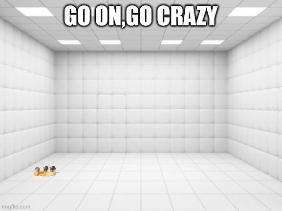 Crazy?I was crazy once. They locked me in a room,a rubber room,and on that room were rats and rats make me crazy. | GO ON,GO CRAZY | image tagged in padded cell | made w/ Imgflip meme maker