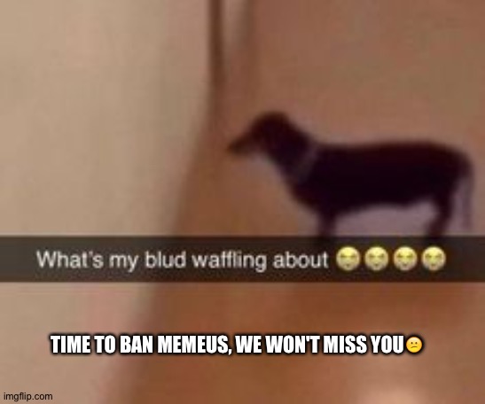 What's my blud waffling about | TIME TO BAN MEMEUS, WE WON'T MISS YOU😕 | image tagged in what's my blud waffling about | made w/ Imgflip meme maker