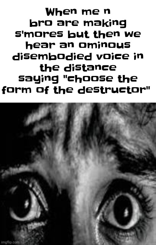 Btw there is no meme, only zuul | When me n bro are making s'mores but then we hear an ominous disembodied voice in the distance saying "choose the form of the destructor" | made w/ Imgflip meme maker