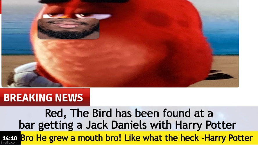 Breaking News template | Red, The Bird has been found at a bar getting a Jack Daniels with Harry Potter; Bro He grew a mouth bro! Like what the heck -Harry Potter | image tagged in breaking news template | made w/ Imgflip meme maker