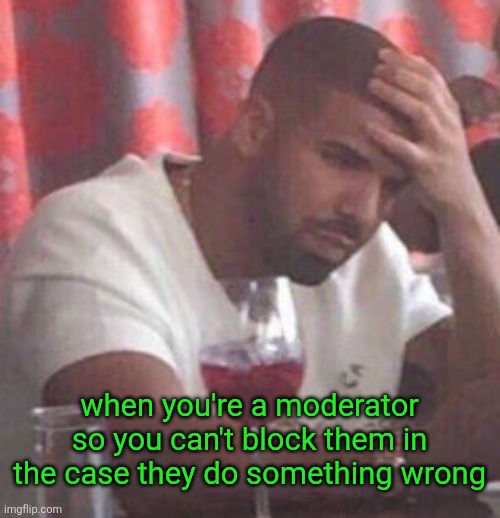 Drake upset | when you're a moderator so you can't block them in the case they do something wrong | image tagged in drake upset | made w/ Imgflip meme maker