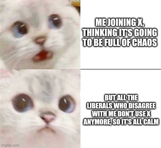 Just joined X | ME JOINING X, THINKING IT'S GOING TO BE FULL OF CHAOS; BUT ALL THE LIBERALS WHO DISAGREE WITH ME DON'T USE X ANYMORE, SO IT'S ALL CALM | made w/ Imgflip meme maker