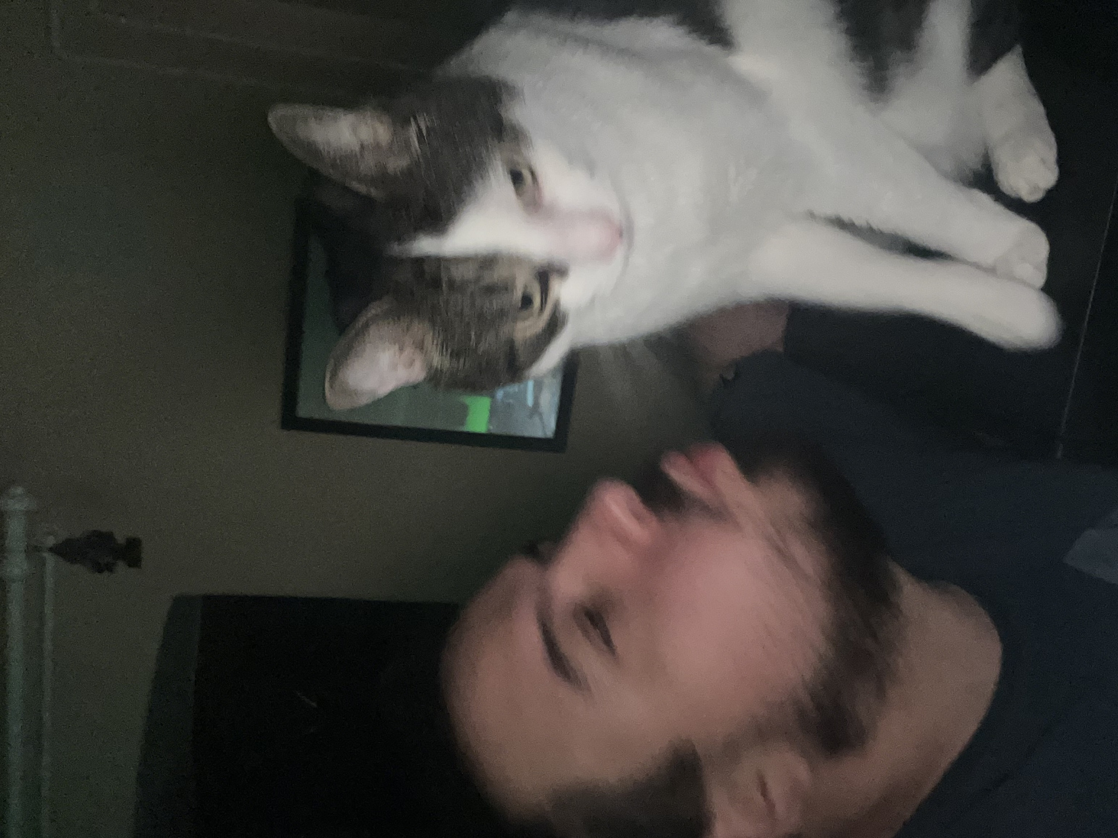 Cat and beard man Blank Meme Template