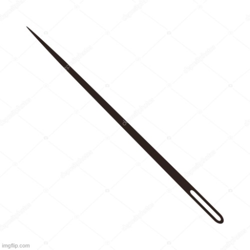 Needle | image tagged in needle | made w/ Imgflip meme maker