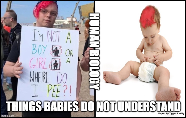 HUMAN BIOLOGY; THINGS BABIES DO NOT UNDERSTAND; Repost by Tigger & Willy | made w/ Imgflip meme maker
