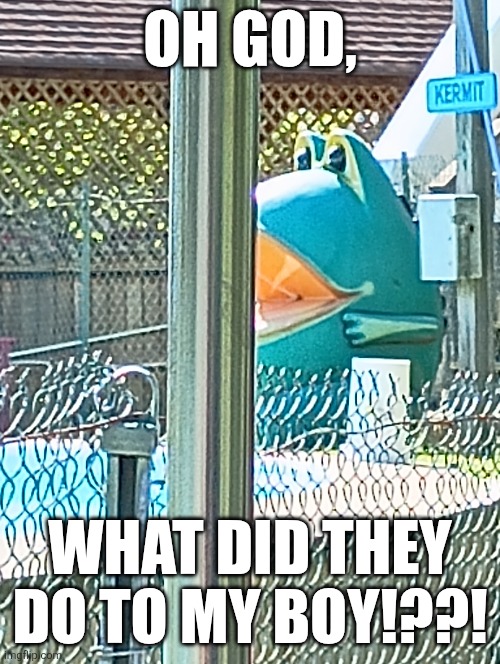 IS THAT SUPPOSED TO BE KERMIT? | OH GOD, WHAT DID THEY DO TO MY BOY!??! | image tagged in memes,you had one job,kermit the frog | made w/ Imgflip meme maker