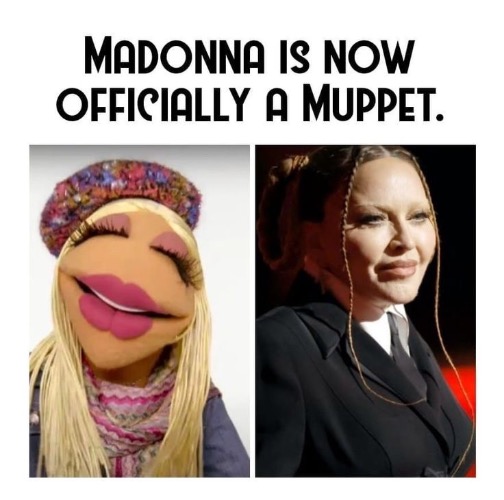 Another Illuminati Warped Celebrity | image tagged in madonna,muppet,illuminati,celebrity,miss piggy,yuck | made w/ Imgflip meme maker