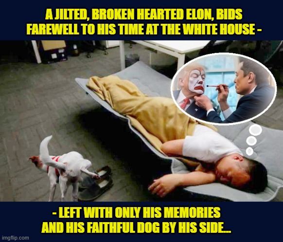 Elon : "Back to spending 24/7 at work and sleeping in conference/server/factory rooms" | A JILTED, BROKEN HEARTED ELON, BIDS FAREWELL TO HIS TIME AT THE WHITE HOUSE -; - LEFT WITH ONLY HIS MEMORIES AND HIS FAITHFUL DOG BY HIS SIDE... | image tagged in impeach trump,government corruption,doge,watermelon | made w/ Imgflip meme maker