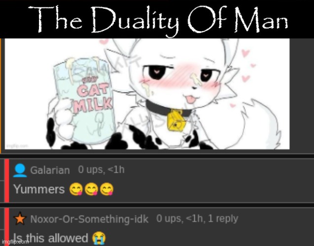 image tagged in the duality of man | made w/ Imgflip meme maker