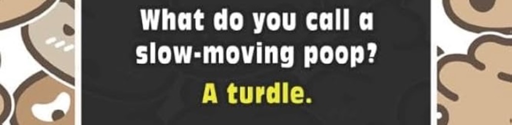 A Turdle | image tagged in turds,bad joke,bathroom humor,slowpoke,constipation,funny memes | made w/ Imgflip meme maker