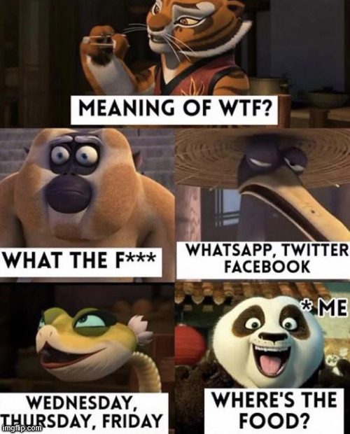 WTF | image tagged in kung fu panda,meme,lattice climbing,tigress,funny,latticeclimbing | made w/ Imgflip meme maker