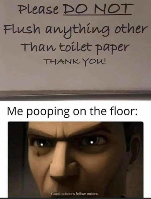 Pooping On The Floor | image tagged in poop,flush,toilet paper,good soldiers follow orders,pooping on the floor,funny memes | made w/ Imgflip meme maker
