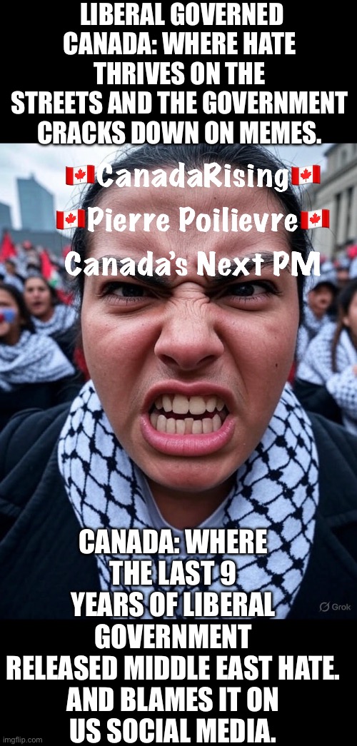 CanadaRising | LIBERAL GOVERNED CANADA: WHERE HATE THRIVES ON THE STREETS AND THE GOVERNMENT CRACKS DOWN ON MEMES. CANADA: WHERE THE LAST 9 YEARS OF LIBERAL GOVERNMENT
RELEASED MIDDLE EAST HATE.
AND BLAMES IT ON
US SOCIAL MEDIA. | image tagged in canadian politics | made w/ Imgflip meme maker