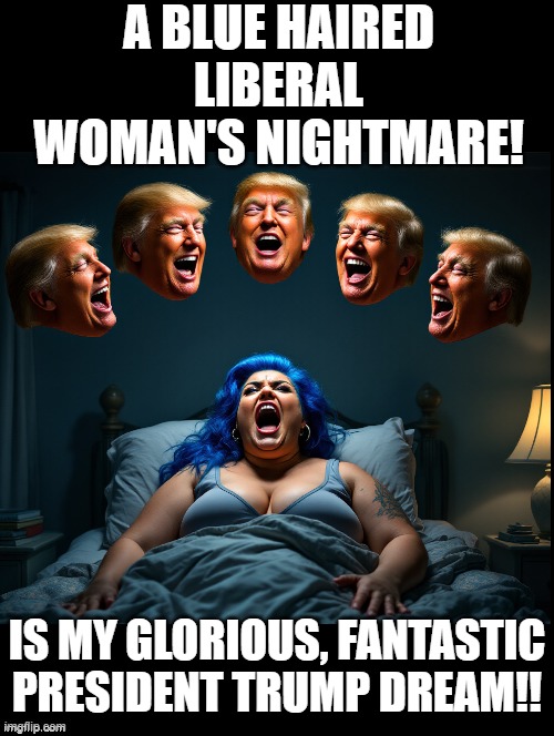A liberal's nightmare is my glorious President Trump dream! | A BLUE HAIRED LIBERAL WOMAN'S NIGHTMARE! IS MY GLORIOUS, FANTASTIC PRESIDENT TRUMP DREAM!! | image tagged in nightmare,field of dreams,follow your dreams | made w/ Imgflip meme maker