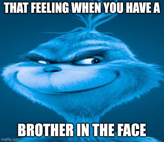 Brother In The Face | THAT FEELING WHEN YOU HAVE A; BROTHER IN THE FACE | image tagged in blue grinch | made w/ Imgflip meme maker