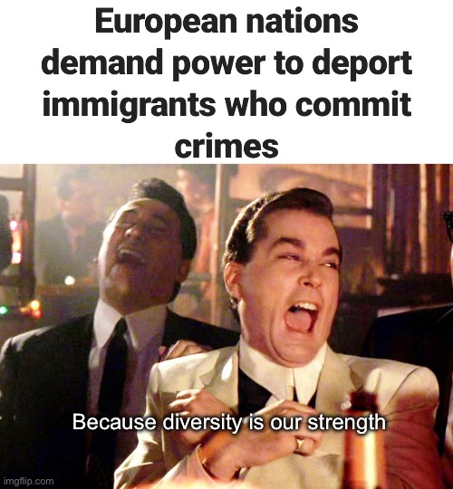 “To protect democracy “ | Because diversity is our strength | image tagged in memes,good fellas hilarious,politics lol | made w/ Imgflip meme maker