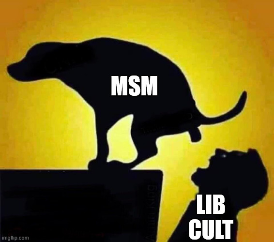 Libs just eat that schiff up | MSM LIB CULT | image tagged in msm,lib cult,connection | made w/ Imgflip meme maker