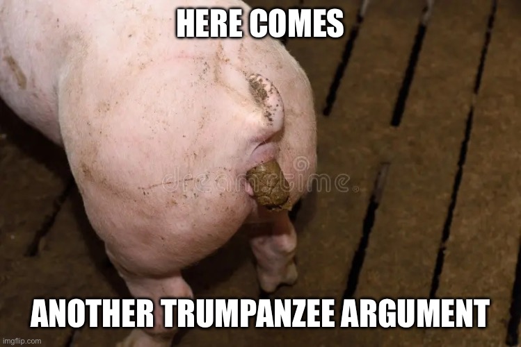 Trumpanzee’s Arguments | HERE COMES; ANOTHER TRUMPANZEE ARGUMENT | image tagged in trump s arguments,donald trump,maga,republicans,conservatives,right wing | made w/ Imgflip meme maker