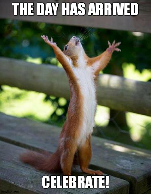 Praise Be | THE DAY HAS ARRIVED CELEBRATE! | image tagged in praise be | made w/ Imgflip meme maker
